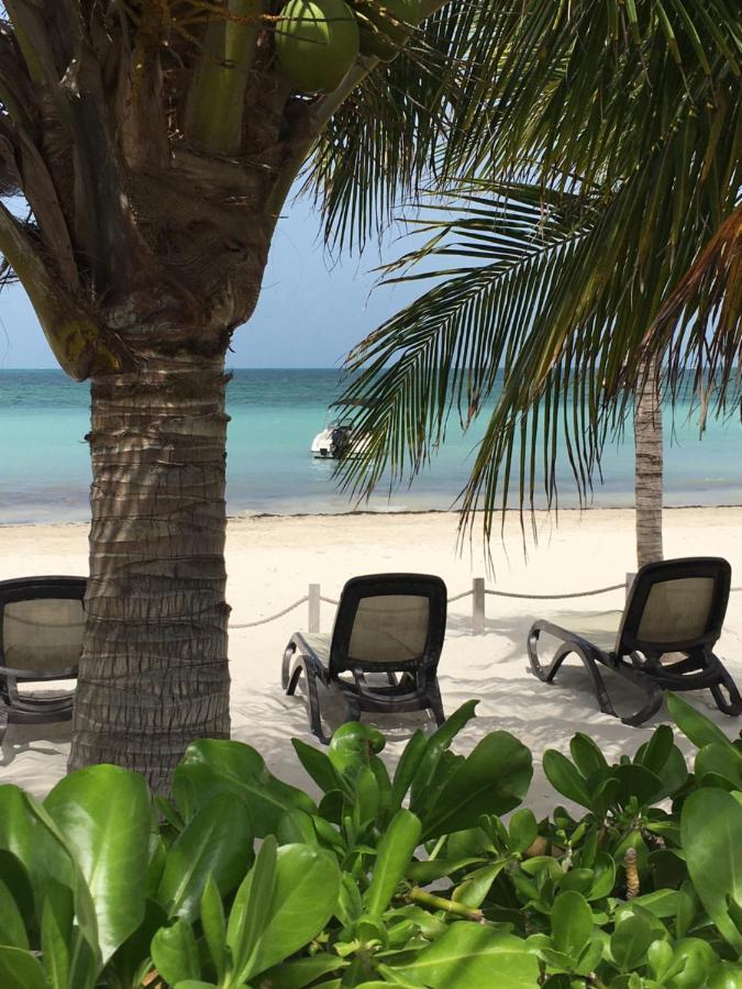 Amara Cancun Beachfront Condo Eksteriør bilde